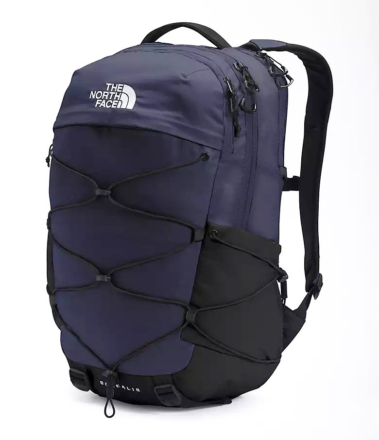 The North Face Borealis Laptop Backpack Review 4